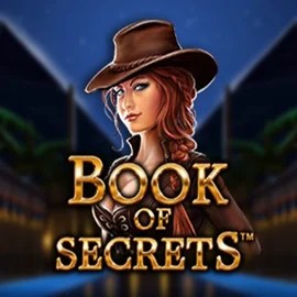 Slots logo of Book of Secrets from SYNOT Games at Stake Casino