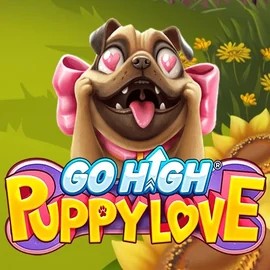 Try Go High Puppy Love slot by RubyPlay on casinostakee.eu – logo image