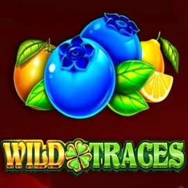 Try Wild Traces slot by Amusnet Interactive on casinostakee.eu – logo image